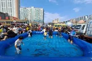시흥월곶포구축제