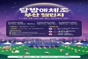 달밤에체조 부산 챌린지