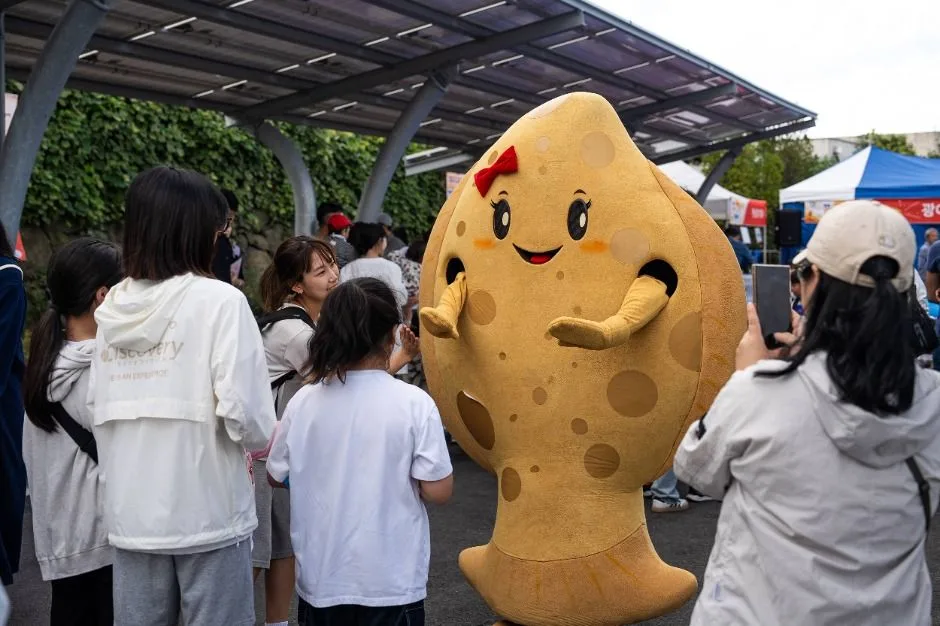 제주광어대축제
