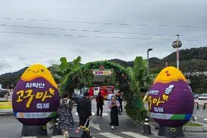 원주농협 치악산 고구마축제